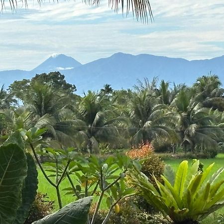 Sumatra Expedition Lodge Букит Лаванг Екстериор снимка
