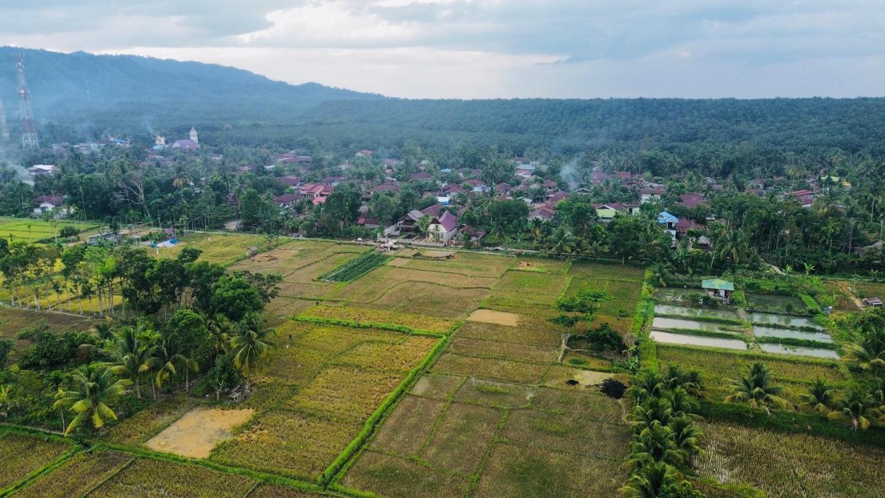 Sumatra Expedition Lodge Букит Лаванг Екстериор снимка