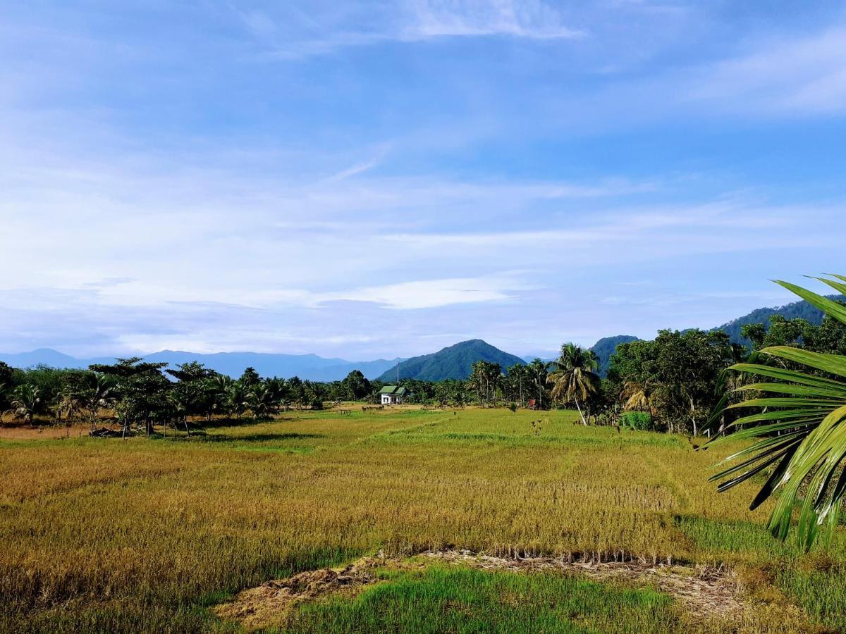 Sumatra Expedition Lodge Букит Лаванг Екстериор снимка