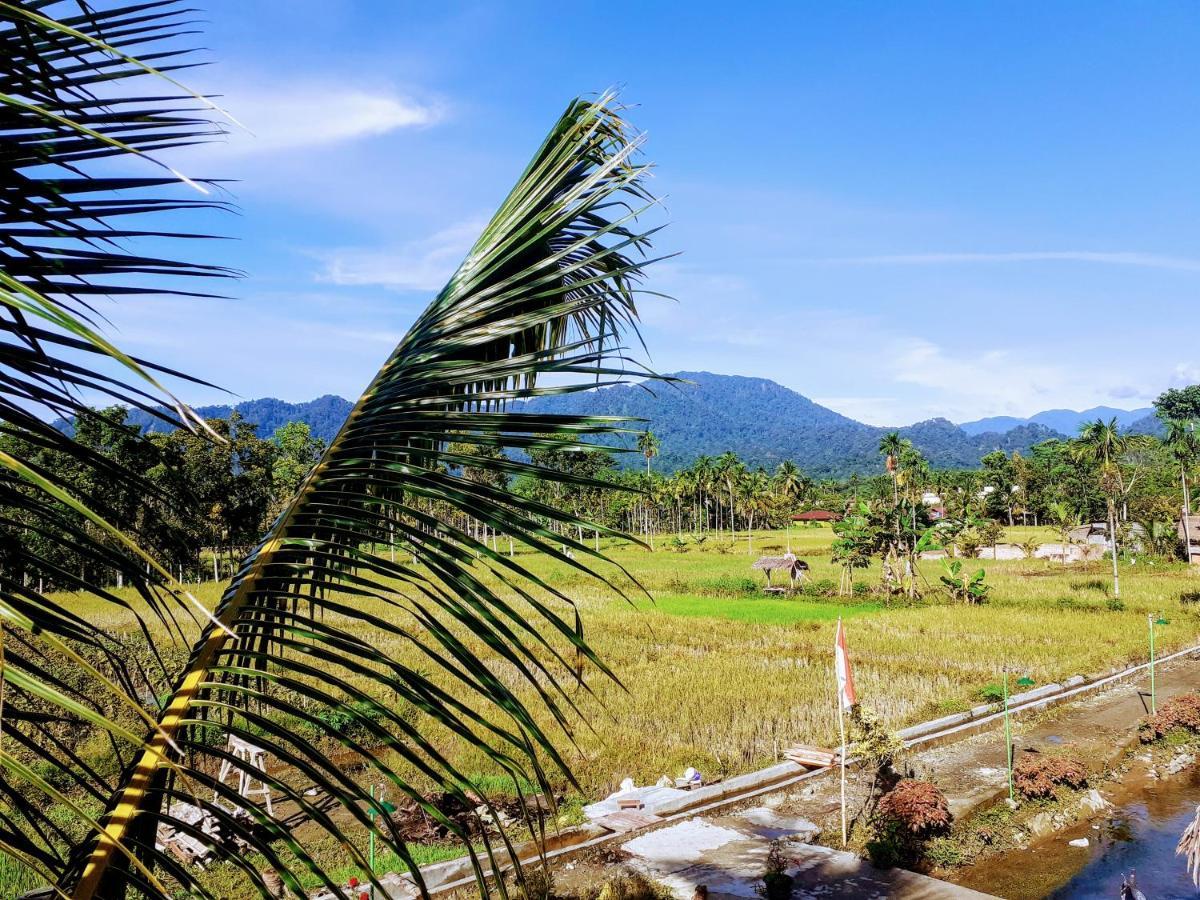 Sumatra Expedition Lodge Букит Лаванг Екстериор снимка