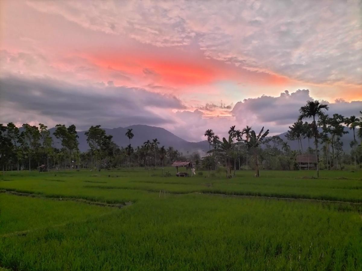 Sumatra Expedition Lodge Букит Лаванг Екстериор снимка