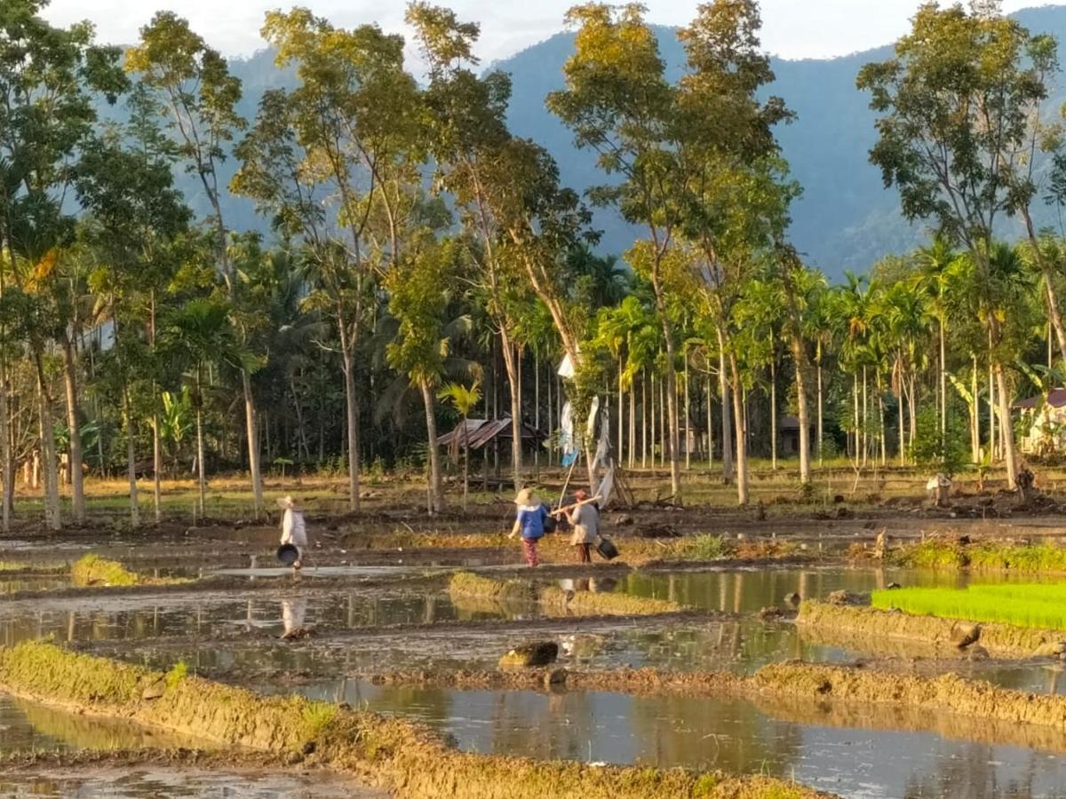 Sumatra Expedition Lodge Букит Лаванг Екстериор снимка