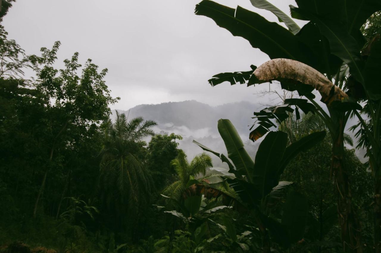 Sumatra Expedition Lodge Букит Лаванг Екстериор снимка