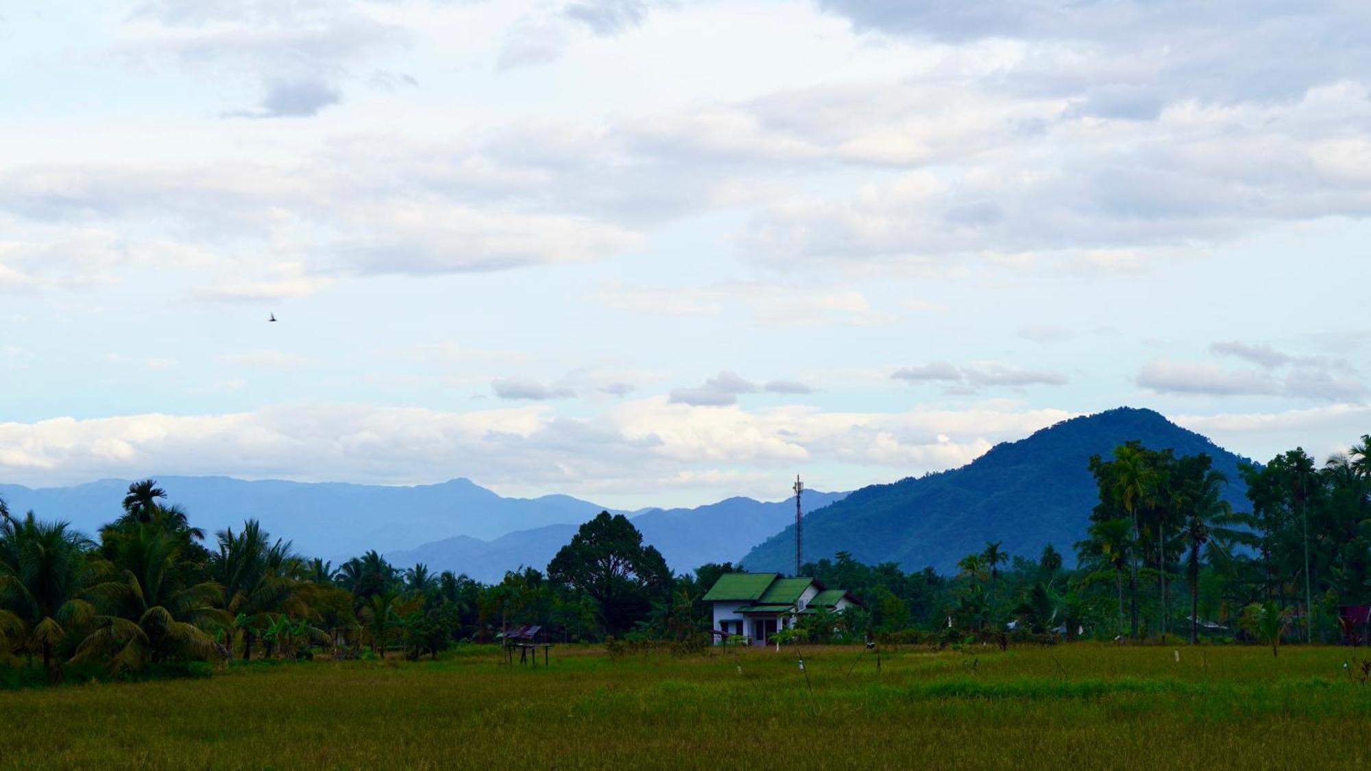 Sumatra Expedition Lodge Букит Лаванг Екстериор снимка