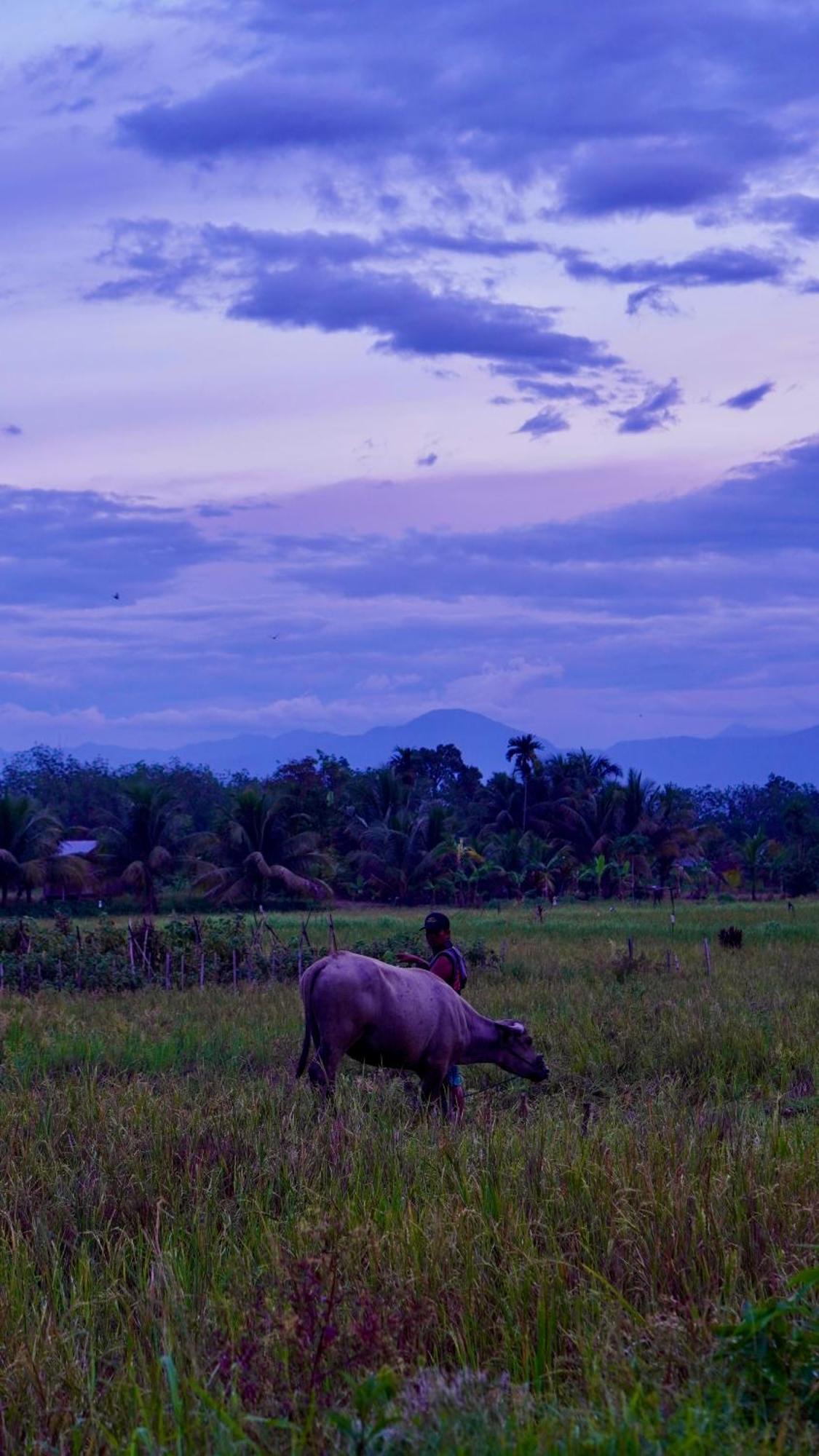Sumatra Expedition Lodge Букит Лаванг Екстериор снимка