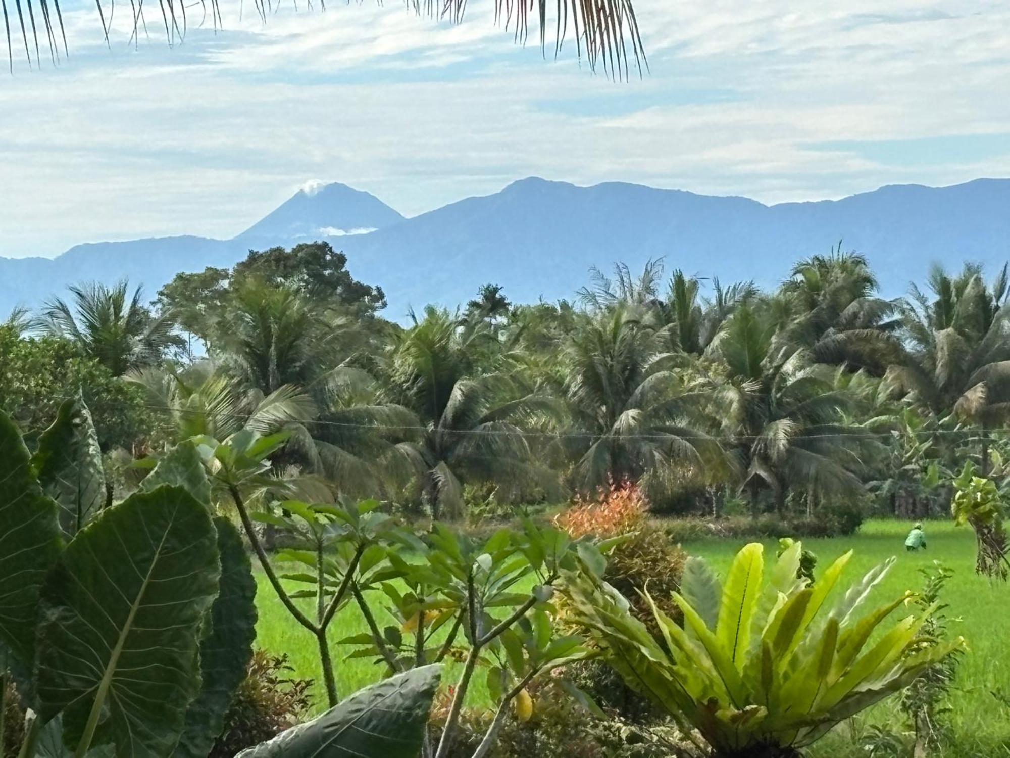 Sumatra Expedition Lodge Букит Лаванг Екстериор снимка