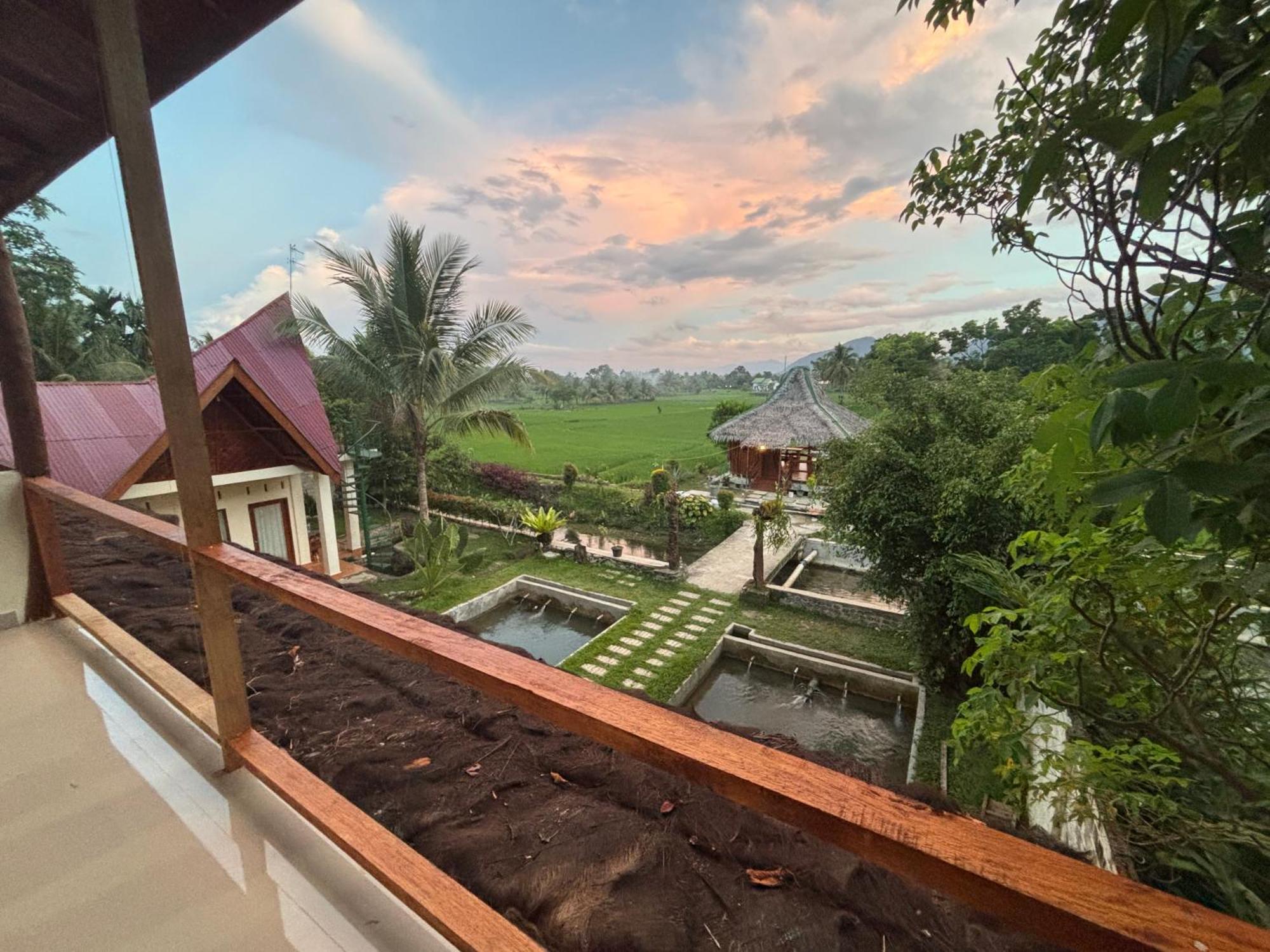 Sumatra Expedition Lodge Букит Лаванг Екстериор снимка