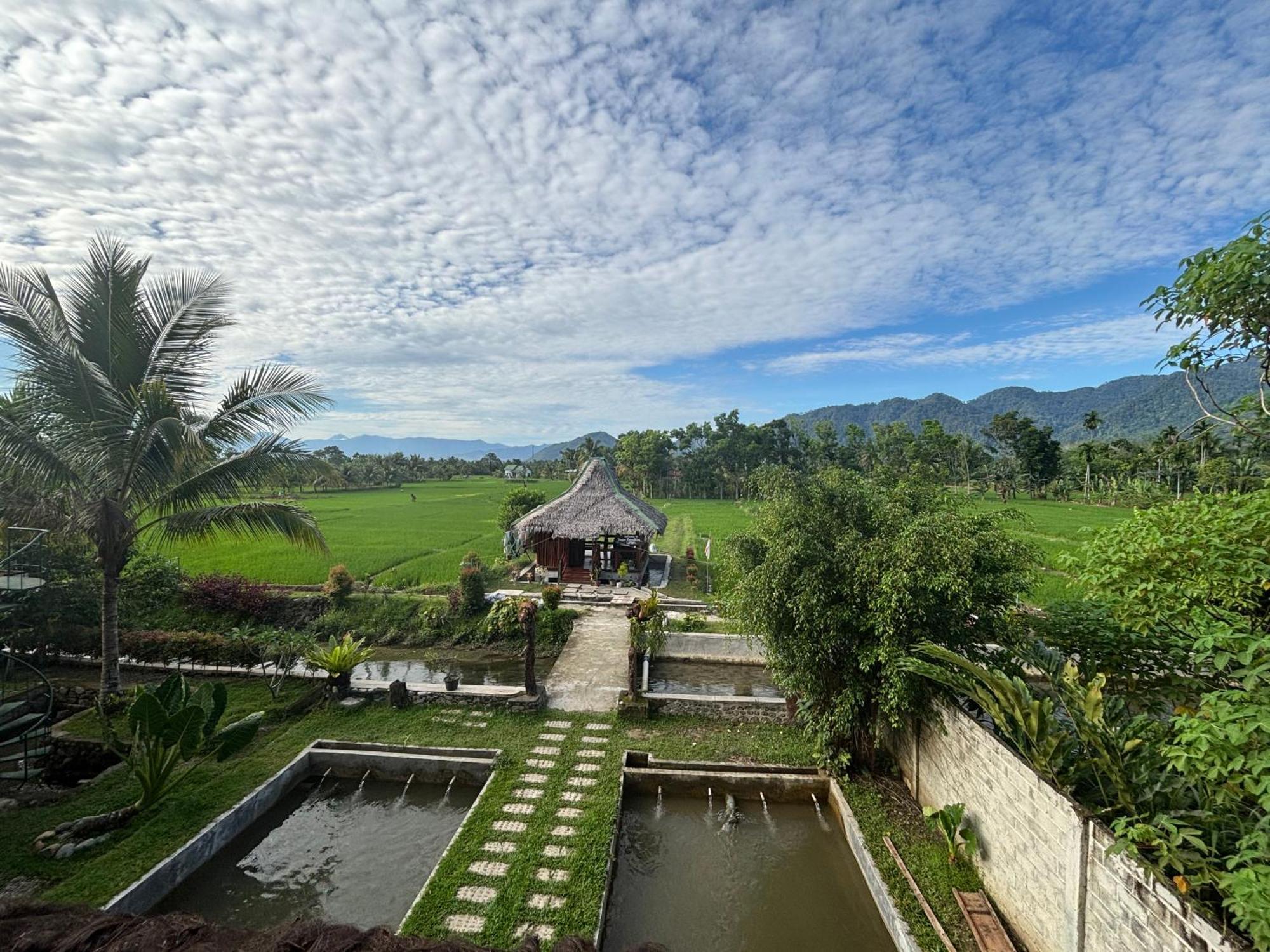 Sumatra Expedition Lodge Букит Лаванг Екстериор снимка